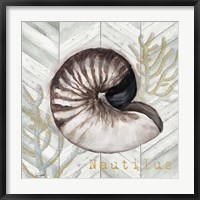 Gray Gold Chevron Nautilus Shell Fine Art Print