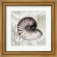 Gray Gold Chevron Nautilus Shell Fine Art Print
