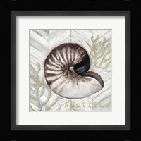 Gray Gold Chevron Nautilus Shell Framed Print