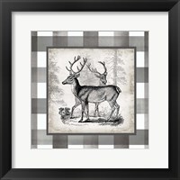 Buffalo Check Deer Neutral II Framed Print