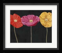 Poppy Trio II Fine Art Print