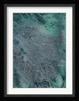 Innate Sense II Framed Print