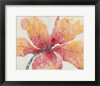 Blooming Hibiscus Fine Art Print