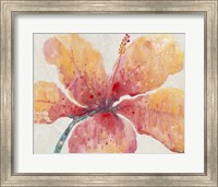 Blooming Hibiscus Fine Art Print