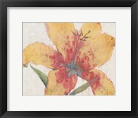 Blooming Lily Fine Art Print