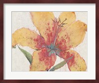 Blooming Lily Fine Art Print