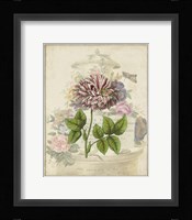 Vintage Rose Bookplate Fine Art Print