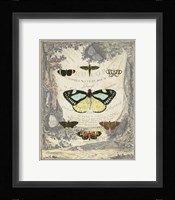 Vintage Butterfly Bookplate Fine Art Print