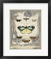 Vintage Butterfly Bookplate Fine Art Print