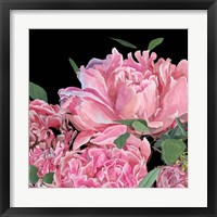 Springtime Fragrance I Framed Print