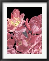 Peonies of My Heart II Framed Print