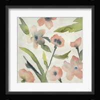 Blush Pink Blooms II Framed Print