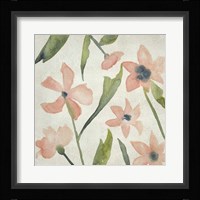 Blush Pink Blooms IV Framed Print