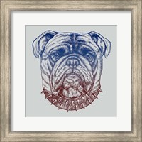 Gritty Bulldog Fine Art Print