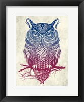 Warrior Owl Fine Art Print