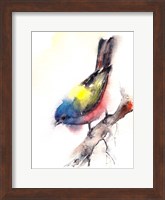 Bunting Bird Fine Art Print
