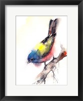 Bunting Bird Fine Art Print