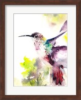 Hummingbird Fine Art Print