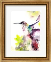 Hummingbird Fine Art Print