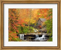 Autumn Splendor Fine Art Print