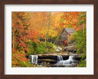 Autumn Splendor Fine Art Print