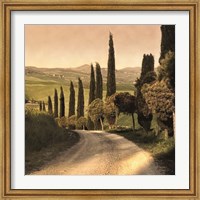 Country Lane, Tuscany Fine Art Print