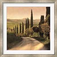 Country Lane, Tuscany Fine Art Print