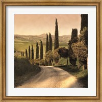 Country Lane, Tuscany Fine Art Print