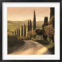 Country Lane, Tuscany Framed Print