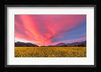 Spring Sunset Napa Valley Fine Art Print