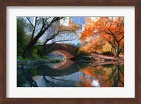 Gapstow Bridge, Fall Fine Art Print