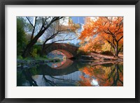 Gapstow Bridge, Fall Fine Art Print