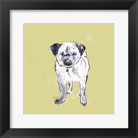 Super Cute Pug Fine Art Print