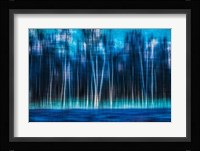 Mystic Forest Fine Art Print