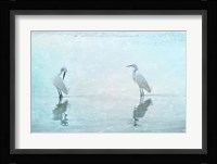 White Cranes Fine Art Print