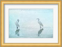 White Cranes Fine Art Print