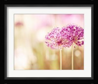 Bloom Fine Art Print