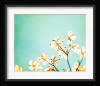 Blossoms Adrift Fine Art Print