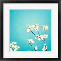 Delicate Fine Art Print