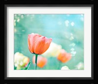 Garden of Dreams Fine Art Print