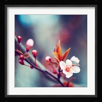 Nature's Palette Fine Art Print