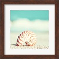 Nautilus Fine Art Print