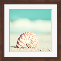 Nautilus Fine Art Print