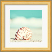 Nautilus Fine Art Print