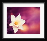 Outburst Fine Art Print