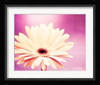 Peachy Keen (magenta) Fine Art Print