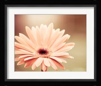 Peachy Keen (tan) Fine Art Print