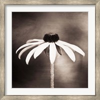 Simply Stated Fine Art Print