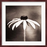 Simply Stated Fine Art Print