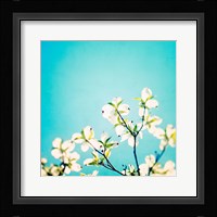 Skies of Blue Fine Art Print